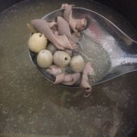 墨魚(yú)豬肚湯的功效作用?怎么制作? 墨魚(yú)豬肚湯的功效作用?怎么制作?
