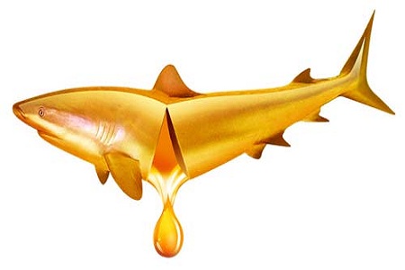 孕期怎么補充營養(yǎng)?魚油可幫助 孕期怎么補充營養(yǎng)?魚油可幫助