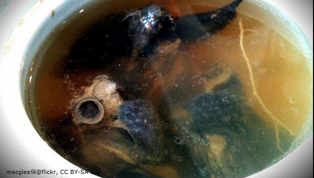 抗癌的飲食有哪些 一日作息表分享 抗癌的飲食有哪些 一日作息表分享