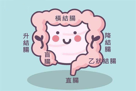 放屁多是怎么回事?原因有這4種 放屁多是怎么回事?原因有這4種