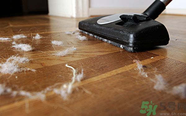 大掃除擰毛巾、擦窗戶 瘦手臂小技巧