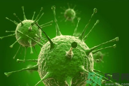 塞卡病毒診斷治療預(yù)防一體化療程 塞卡病毒診斷治療預(yù)防一體化療程