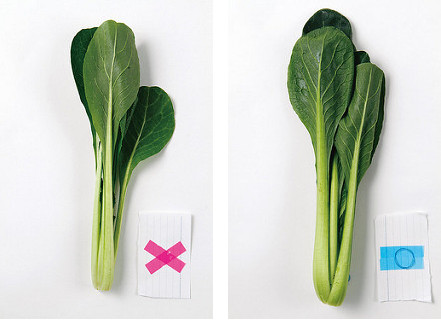 小松菜挑選葉形左右對(duì)稱，有彈性的