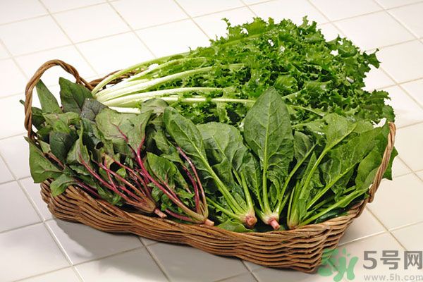 菠菜和魷魚能一起吃嗎 菠菜不能和什么同食 菠菜和魷魚能一起吃嗎 菠菜不能和什么同食