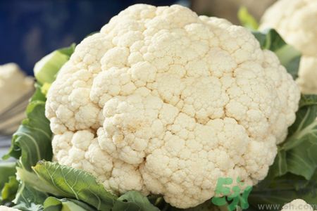 西蘭花和花椰菜有何區(qū)別?西蘭花花椰菜的效果怎么樣? 西蘭花和花椰菜有何區(qū)別?西蘭花花椰菜的效果怎么樣?
