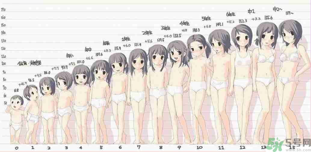 女生的發(fā)育過程是什么樣的? 女生的發(fā)育過程是什么樣的?