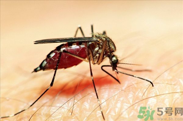 1455850651684968.jpg xy8-881842.jpg