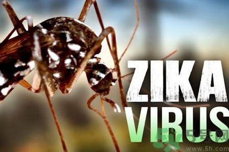 寨卡病毒危害嚴重嗎?如何預防寨卡病毒 寨卡病毒危害嚴重嗎?如何預防寨卡病毒