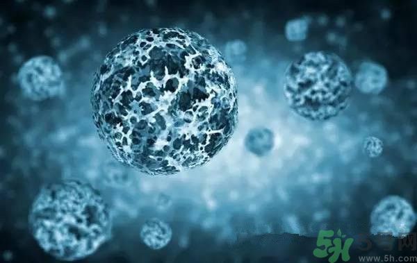 寨卡病毒并不可怕 泰州產(chǎn)出寨卡病毒快速檢測(cè)劑 寨卡病毒并不可怕 泰州產(chǎn)出寨卡病毒快速檢測(cè)劑