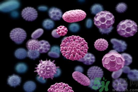 流感病毒怎么預(yù)防效果好?流感病毒最怕的5種食物 流感病毒怎么預(yù)防效果好?流感病毒最怕的5種食物