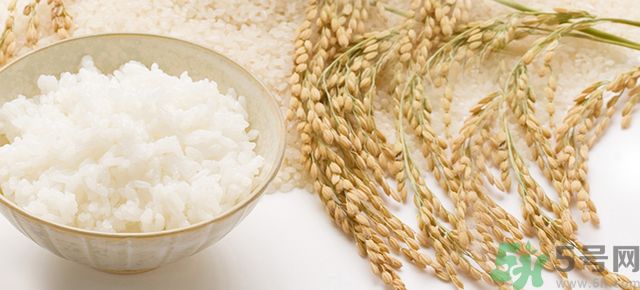 飯團減肥法 碳水化合物吃了卻能瘦 飯團減肥法 碳水化合物吃了卻能瘦