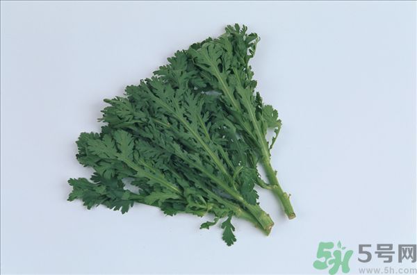 白發(fā)可不可以吃茼蒿嗎 白頭發(fā)吃什么能變黑 白發(fā)可不可以吃茼蒿嗎 白頭發(fā)吃什么能變黑