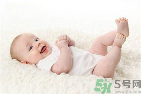 寶寶和寵物怎樣共處?和諧共處4項(xiàng)原則 寶寶和寵物怎樣共處?和諧共處4項(xiàng)原則