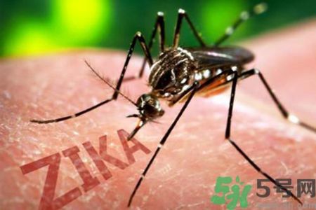 中國(guó)確診5例寨卡病毒感染者 中國(guó)確診5例寨卡病毒感染者