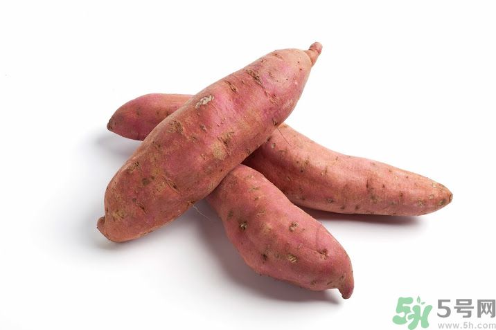 吃地瓜能喝啤酒嗎 喝酒能吃紅薯嗎 吃地瓜能喝啤酒嗎 喝酒能吃紅薯嗎