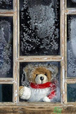 熱休克反應(yīng)是什么? 熱休克反應(yīng)是什么?