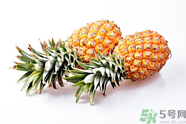 芒果和菠蘿能一起吃嗎？芒果和菠蘿一起吃好嗎？