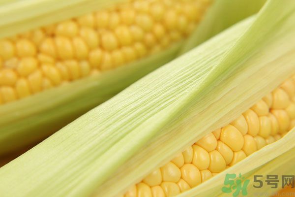 哺乳期能吃玉米回奶嗎？產(chǎn)婦吃玉米會(huì)回奶嗎？