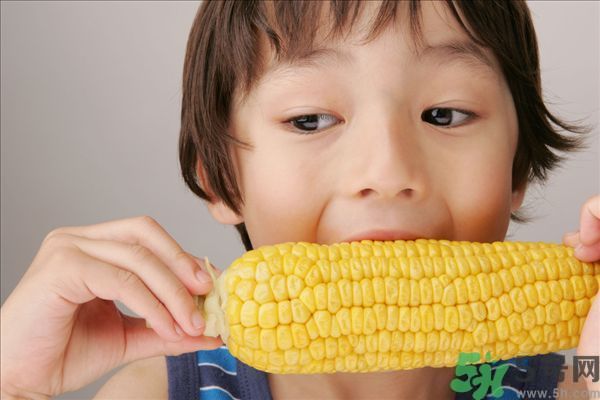 痔瘡可以吃玉米嗎？得了痔瘡能不能吃玉米？