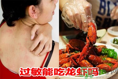 過敏能吃龍蝦嗎?吃龍蝦會過敏嗎? 過敏能吃龍蝦嗎?吃龍蝦會過敏嗎?
