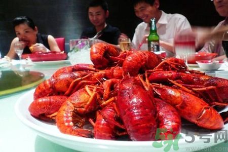 過敏能吃龍蝦嗎?吃龍蝦會過敏嗎? 過敏能吃龍蝦嗎?吃龍蝦會過敏嗎?