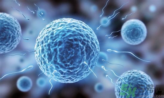 真的有人造精子嗎?女人懷孕不在需要男性精子.jpg 真的有人造精子嗎?女人懷孕不在需要男性精子.jpg