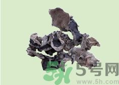 高血壓可以吃黑木耳嗎？木耳降血壓的做法有哪些？