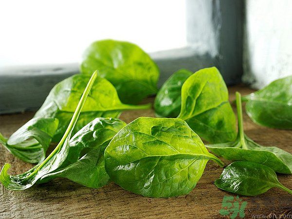 缺鐵有什么癥狀和危害？含鐵高的食物有哪些？