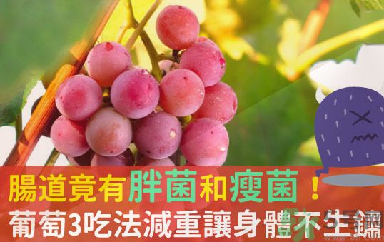 吃葡萄可以不吐葡萄籽嗎？吃葡萄皮好不好？