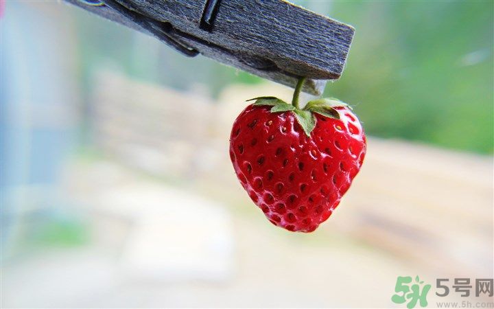 如何辨別草莓有沒(méi)有打膨大劑？如何清洗草莓才干凈？