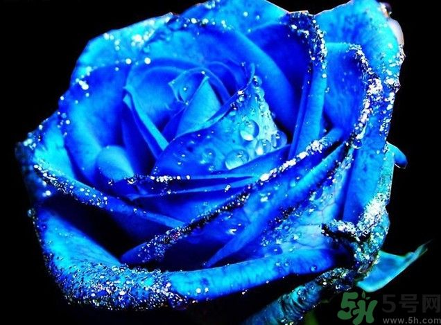 懷孕了能養(yǎng)花嗎？養(yǎng)什么花對(duì)胎兒好？