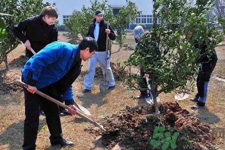 如何提高植樹的成活率？植樹節(jié)種樹要注意哪些細(xì)節(jié)？