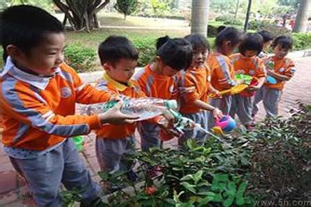 如何提高植樹的成活率？植樹節(jié)種樹要注意哪些細(xì)節(jié)？