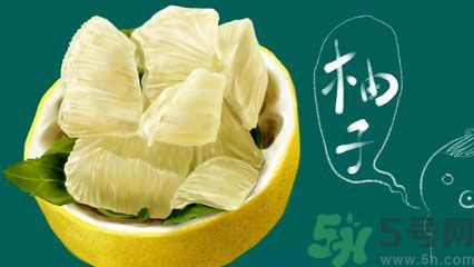 多吃柚子能減肥嗎？怎樣吃柚子才健康？