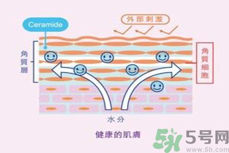 皮膚炎癢是怎么回事？皮膚炎發(fā)作怎么治療？