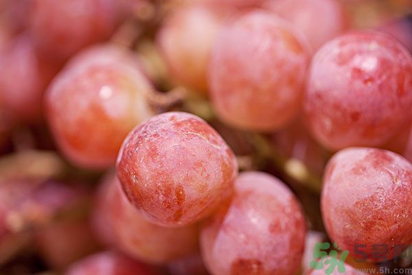 吃葡萄對皮膚好嗎？吃葡萄可以延緩衰老嗎？