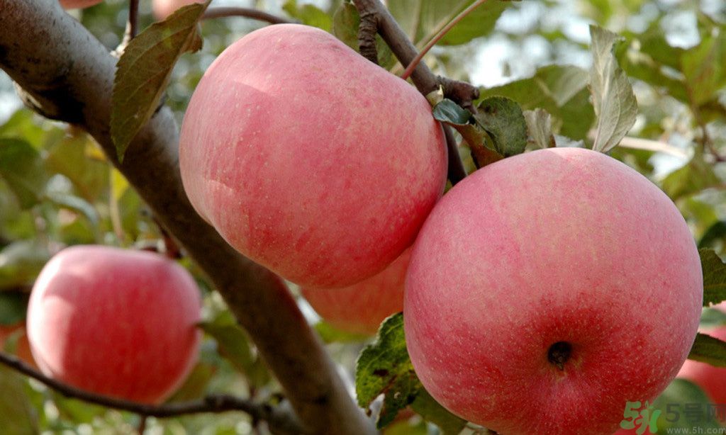 蘋果有什么好處？蘋果應(yīng)該怎么吃？