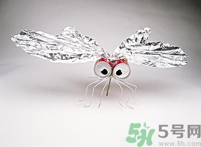 黃熱病是什么樣的疾??？黃熱病有哪些癥狀？