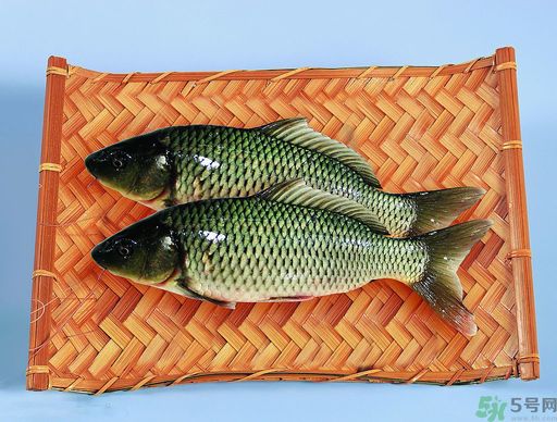 孕婦吃什么魚對胎兒好？孕婦吃什么魚最好？