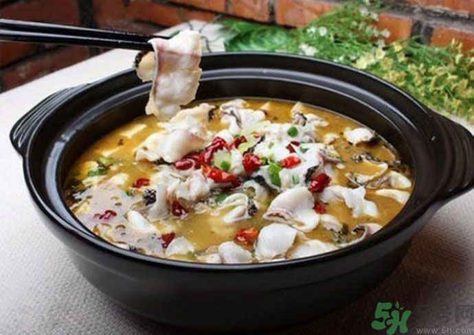 孕婦吃什么魚對胎兒好？孕婦吃什么魚最好？