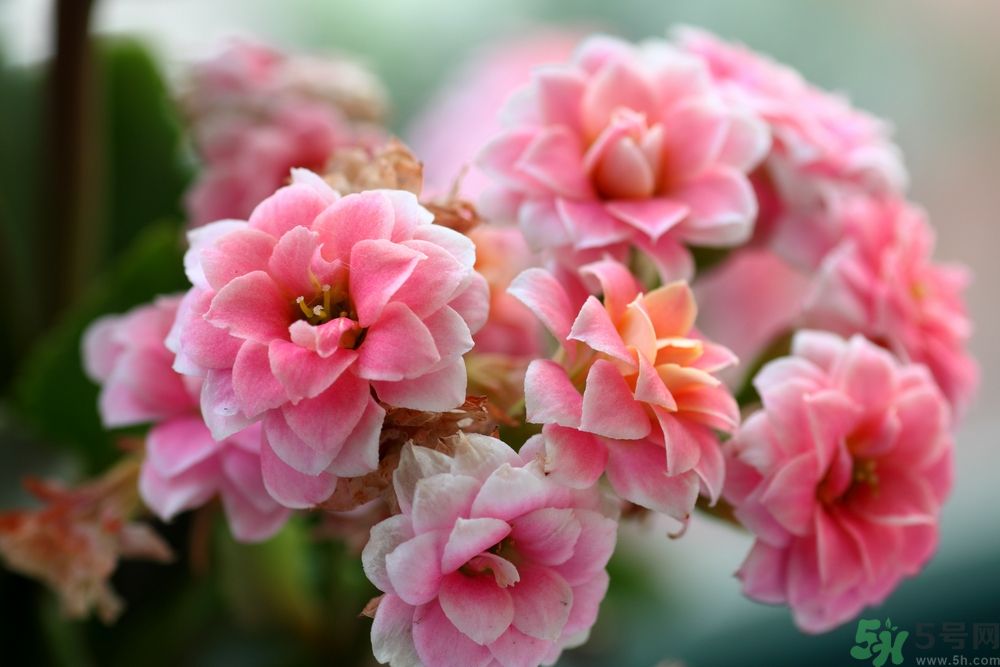 怎么才能更加長壽？要長壽需要做什么？