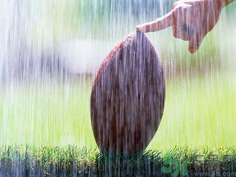 濕氣重的癥狀？怎么去除體內(nèi)的濕氣？