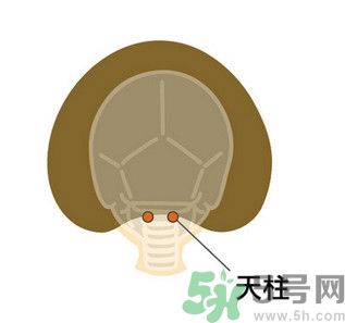 臉總是腫腫的怎么辦？臉有點浮腫怎么消腫？