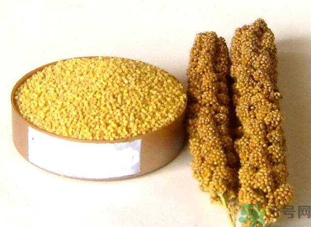 失眠吃什么才能好好睡覺？失眠了應(yīng)該怎么辦？