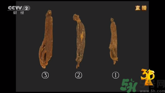 紅參怎么挑選？紅參摻糖怎么辯解？