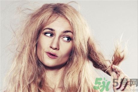 頭發(fā)分叉怎么辦？頭發(fā)油怎么辦？