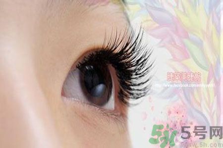 種睫毛的危害有哪些？種睫毛能保持多久？