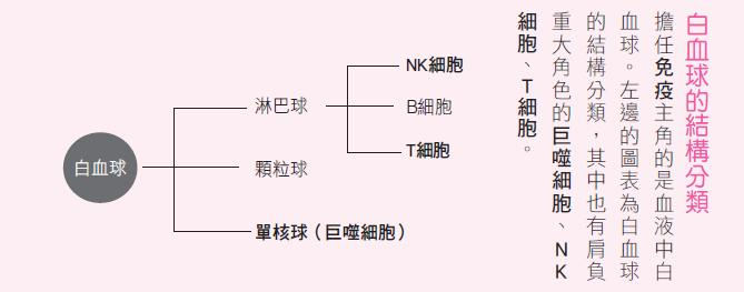 1458201140566597.jpg 25391134580_97265abe74_b.jpg