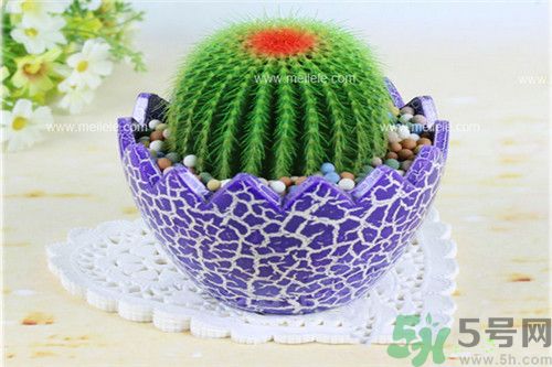 吃海帶可以防輻射嗎?常吃什么食物抗輻射比較好？