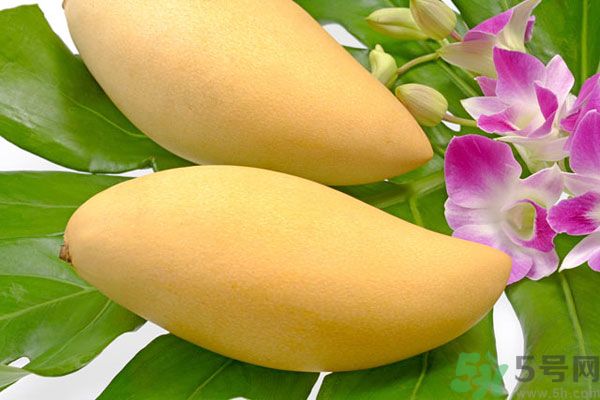 吃芒果嘴唇過(guò)敏怎么辦？為什么吃了芒果后嘴巴癢？